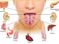 Определение внутренних болезней по языку