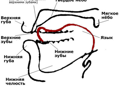 Фото капы во рту